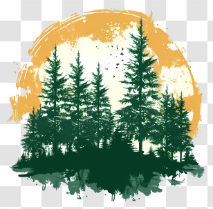International Day Of Forests - Pine Trees At Sunset Illustration Transparent PNG