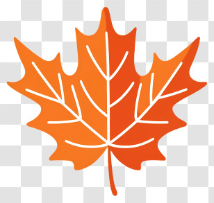 Maple Leaf - Detailed Orange Maple Leaf For Autumn Transparent PNG