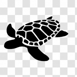 Tortoise Sea Turtle Silhouette Organism Transparent Png - green sea turtle decal roblox
