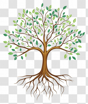 Tree With Roots - Tree With Leaves And Roots Illustration Transparent PNG