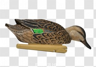 Mallard Duck Decoy Anseriformes - Fauna Transparent PNG
