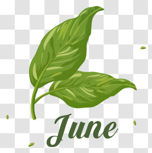 Hello June - Green Leaves Design With June Text Transparent PNG