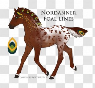 Mustang Pony Foal Stallion Colt - Chestnut Appaloosa Transparent PNG