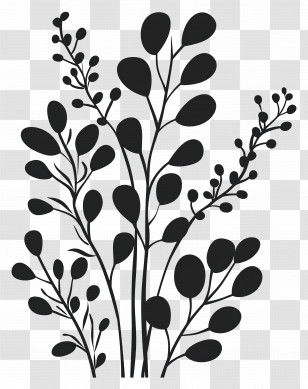 Plant Silhouette - Silhouette Of Plants And Leaves Transparent PNG