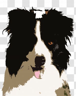 Border Collie Dog breed Fan art Pintura, sr. Pickles, televisão, carnívoro,  cachorro Como mamífero png