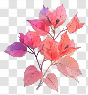 Bougainvillea Flower - Pink Leaves In Autumn Transparent PNG