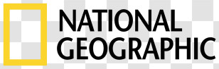 National Geographic Logo - National Geographic Logo Transparent PNG