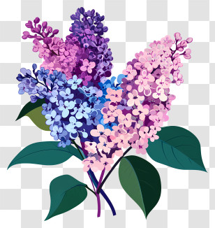 Lilacs - Lilac Flowers Bouquet Transparent PNG