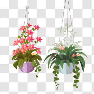 Hanging Plant With Pot - Decorative Hanging Flower Pots With Lush Greenery Transparent PNG