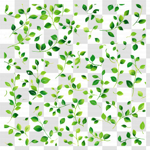 Green Background - Green Leaves And Branches Illustration Transparent PNG