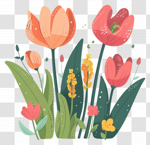 Tulip Flower - Colorful Spring Flower Garden Illustration Transparent PNG