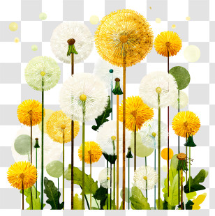 Dandelions - Dandelion Field Illustration Transparent PNG