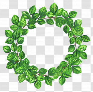 Green Leaf Wreath - Green Leafy Wreath For Natural Home Decor Transparent PNG