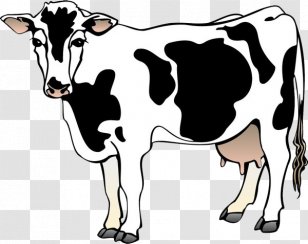 Holstein Friesian Cattle Dairy Free Content Clip Art - Website - A Cow Transparent PNG