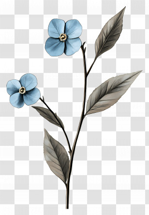 Blue Flowers - Blue Flowers Plant Transparent PNG