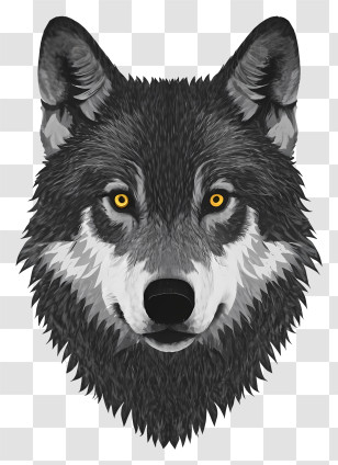 Cartoon - Grey Wolf Face Illustration With Yellow Eyes Transparent PNG