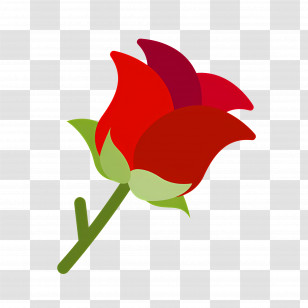 Red Flower - Red Rose Illustration Transparent PNG