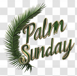 Palm Sunday - Palm Sunday With Decorative Text Transparent PNG