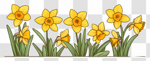 Daffodil Border - Spring Blooming Flowers Transparent PNG