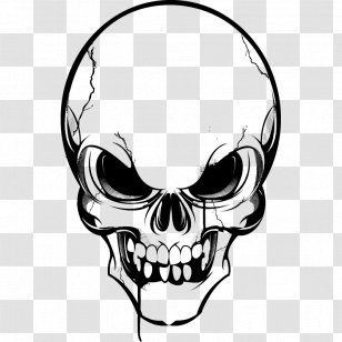Vector Graphics Skull Clip Art Image Drawing - Face Transparent PNG