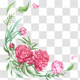 Floral Design Flower Bouquet Peony - Flora Transparent PNG