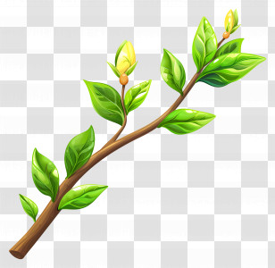 Yellow Flowers - Leafy Branch Illustration Transparent PNG