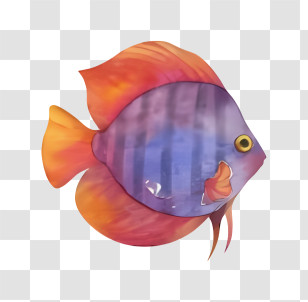 Icon - Colorful Fish Illustration Transparent PNG