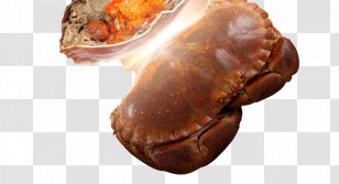 Yangcheng Lake Crabe - Crabs Crab Transparent PNG