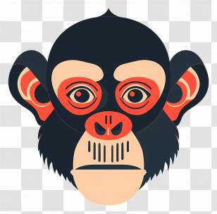 Monkey Head - Chimpanzee Face Illustration For Wildlife Concepts Transparent PNG