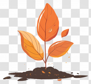 Autumn Leaf On Soil - Autumn Plant Sprout In Soil Transparent PNG