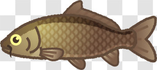 Icon - Brown Fish Illustration Transparent PNG