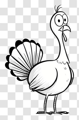 Turkey Outline - Cartoon Turkey With Feathers And Bird Features Transparent PNG