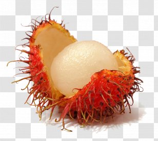 Rambutan Fruit Pitaya - Passion Transparent PNG