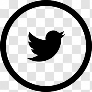 Social Media YouTube Business Blog - Computer Software Transparent PNG