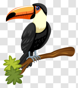 Bird Parrot - Toucan Perched On Branch Illustration Transparent PNG
