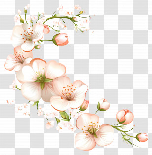 Flower Banner - Cherry Blossom Floral Design Transparent PNG