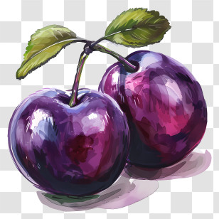Plums - Juicy Purple Plums Illustration Transparent PNG