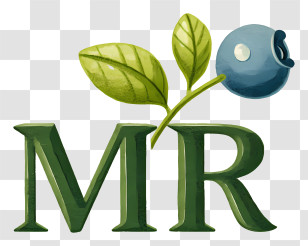 Mr Blueberry Logo - Green MR Logo With Blueberry Transparent PNG