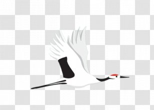 Euclidean Vector Pattern - Resource - Crane Transparent PNG