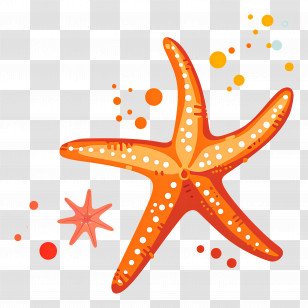 Starfish - Patterned Orange Starfish Cartoon Design Transparent PNG