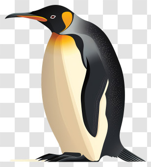 World Penguin Day - Illustrated Emperor Penguin Standing Transparent PNG