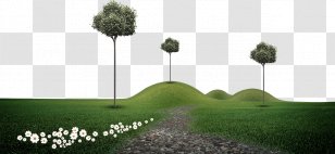 Download Poster - Brand - Trees And Flowers On The Grass Transparent PNG