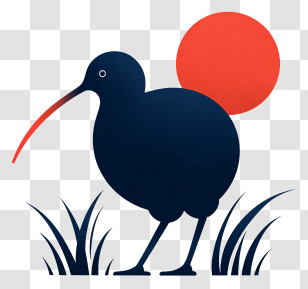 Kiwi Bird - Kiwi Silhouette At Red Sunset Transparent PNG