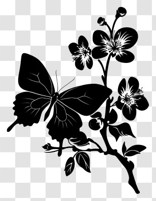 Butterfly Silhouette - Black Silhouette Of Butterfly And Flowers Transparent PNG
