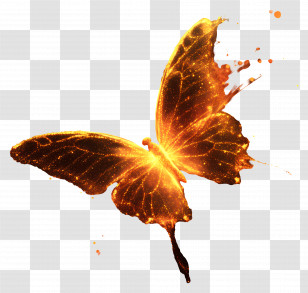 Sparking Butterfly - Golden Sparkling Butterfly Transparent PNG