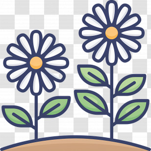 Daisy Flower - Cartoon Daisy Flowers In Bloom Transparent PNG