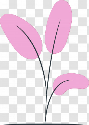 Plant Stem Petal Leaf Pink M Flower Transparent PNG