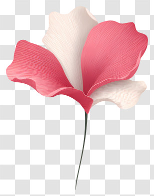 Perfume Logo - Pink And White Flower Illustration Transparent PNG