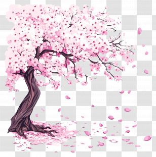 Flowering Cherry Tree - Pink Blossom Tree In Full Bloom Transparent PNG