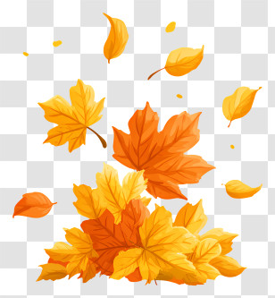 A Pile Of Maple Leaves - Falling Autumn Maple Leaves Transparent PNG